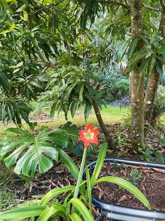 For Sale: $759,500 (6 beds, 4 baths, 3577 Square Feet)