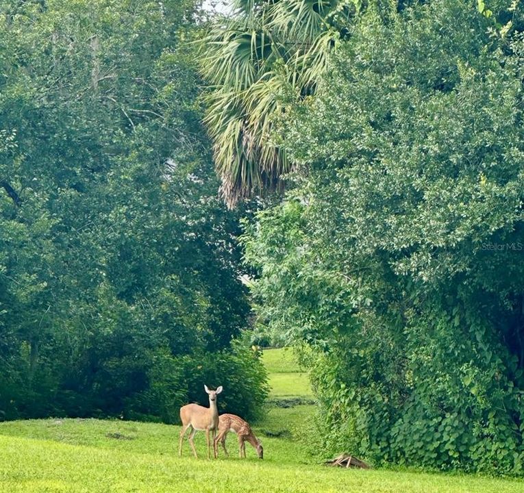 For Sale: $759,500 (6 beds, 4 baths, 3577 Square Feet)