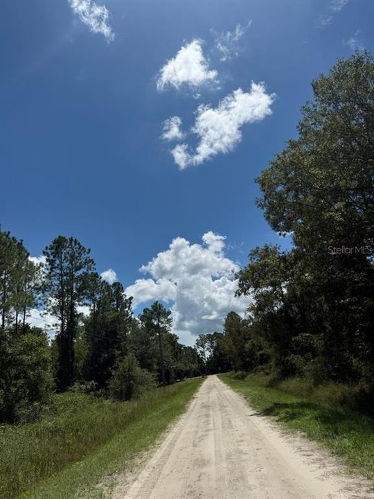 For Sale: $35,000 (1.14 acres)