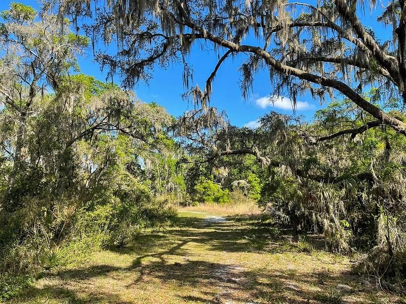Active With Contract: $699,000 (3 beds, 3 baths, 2541 Square Feet)