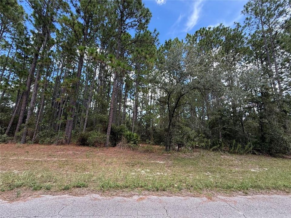 待售: $29,000 (0.24 acres)