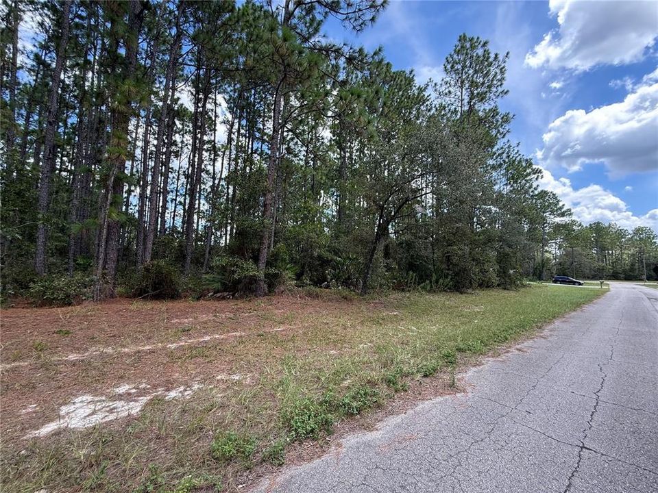 待售: $29,000 (0.24 acres)