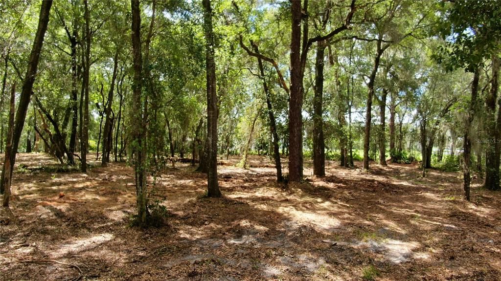 合同活跃: $1,625,000 (6.61 acres)