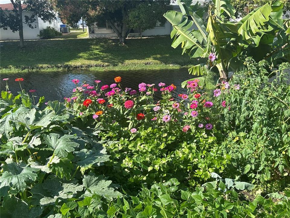 待售: $410,000 (2 贝兹, 2 浴室, 1587 平方英尺)