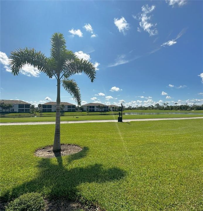 En Renta: $6,500 (2 camas, 2 baños, 1596 Pies cuadrados)