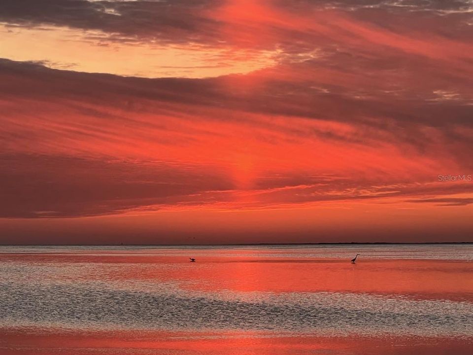 Active With Contract: $299,000 (3 beds, 2 baths, 1507 Square Feet)