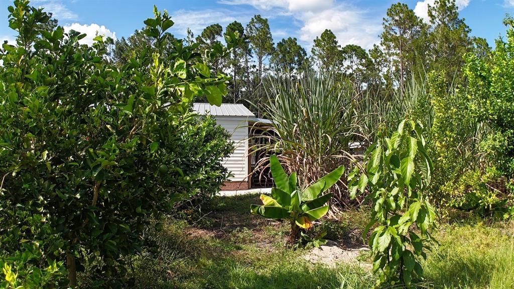 合同活跃: $175,000 (3 贝兹, 2 浴室, 1290 平方英尺)