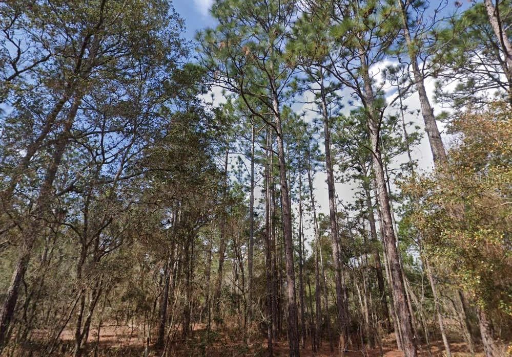 For Sale: $11,000 (0.11 acres)