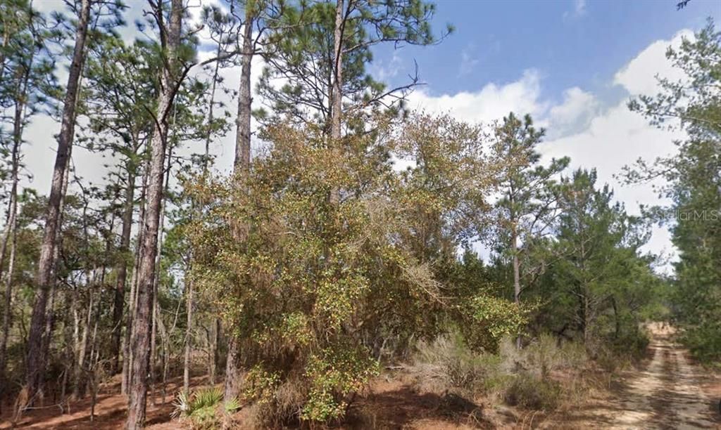 For Sale: $11,000 (0.11 acres)