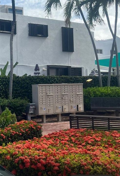 For Sale: $550,000 (3 beds, 2 baths, 1700 Square Feet)