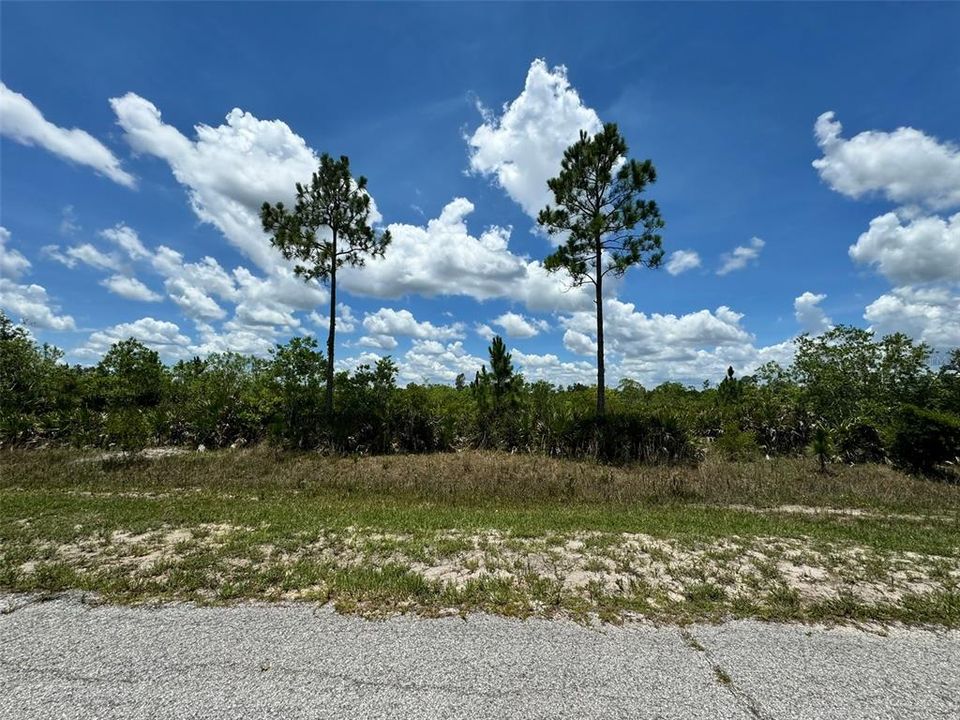 En Venta: $45,000 (1.33 acres)
