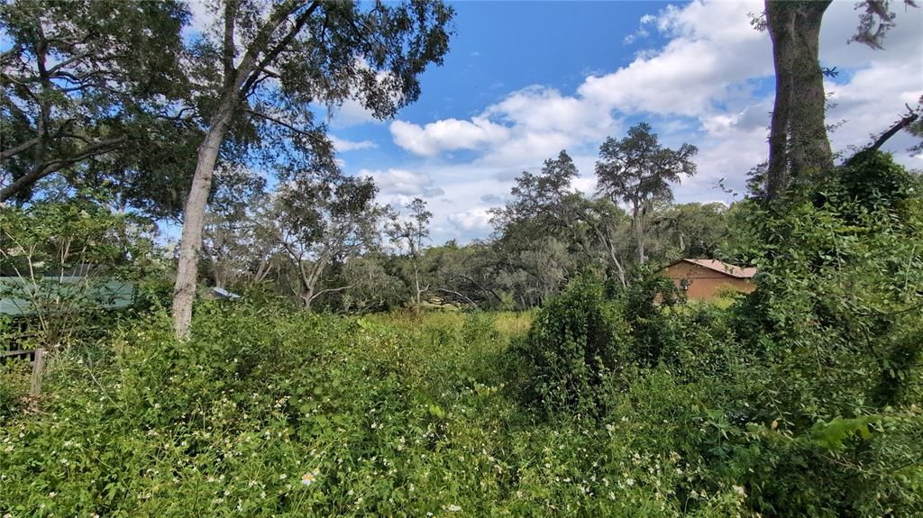 For Sale: $55,000 (0.49 acres)