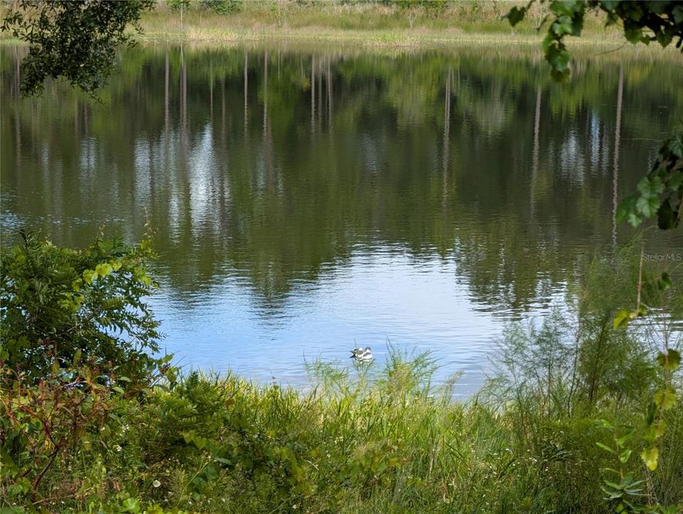 For Sale: $55,000 (0.49 acres)