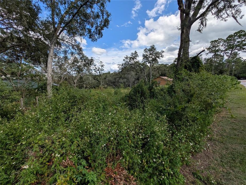 For Sale: $55,000 (0.49 acres)