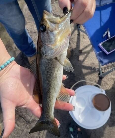 For Sale: $55,000 (0.49 acres)