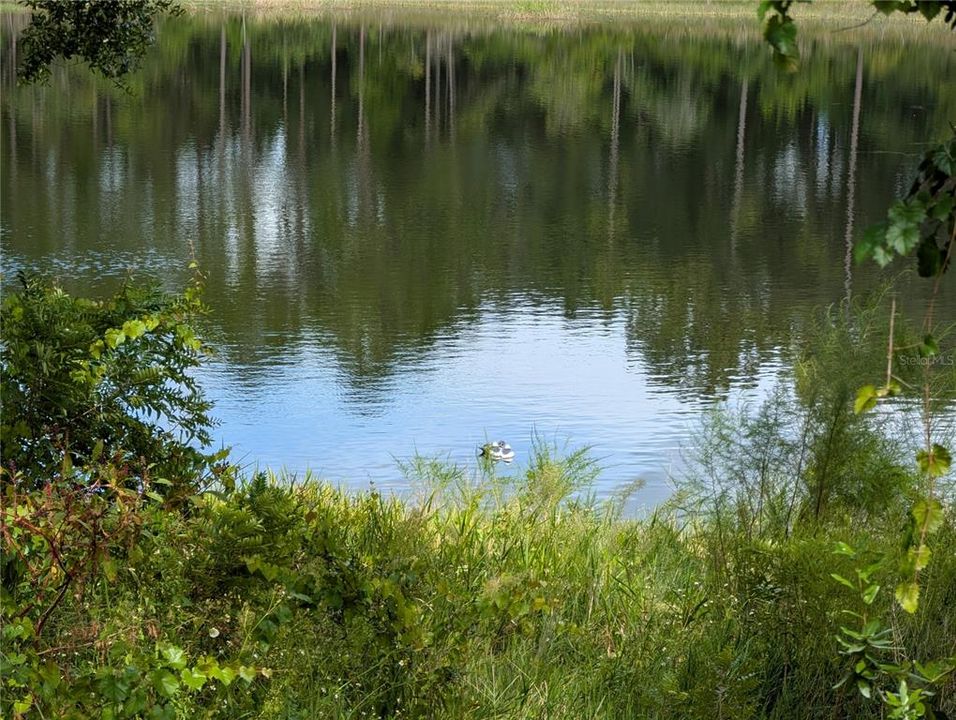 For Sale: $55,000 (0.49 acres)