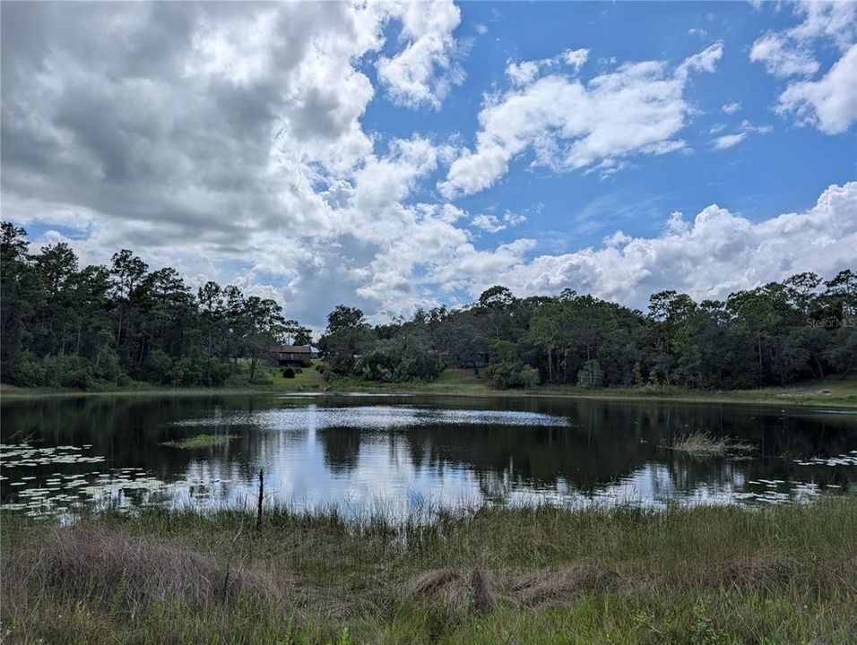 For Sale: $55,000 (0.49 acres)