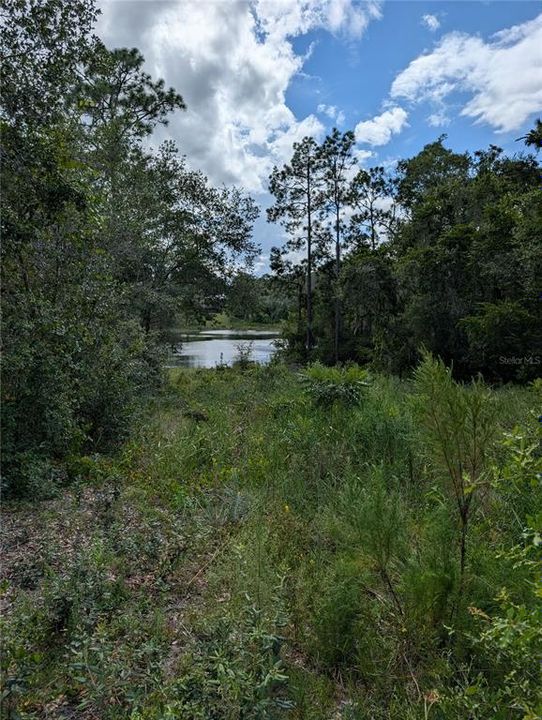 For Sale: $55,000 (0.49 acres)