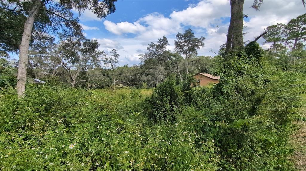 For Sale: $55,000 (0.49 acres)