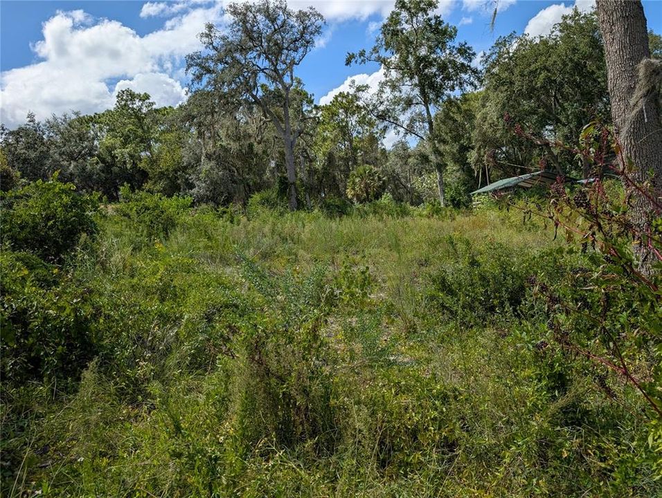 For Sale: $55,000 (0.49 acres)