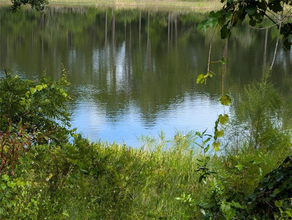 For Sale: $55,000 (0.49 acres)