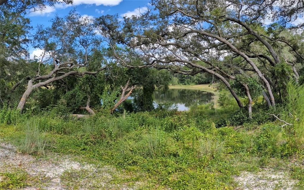 For Sale: $55,000 (0.49 acres)