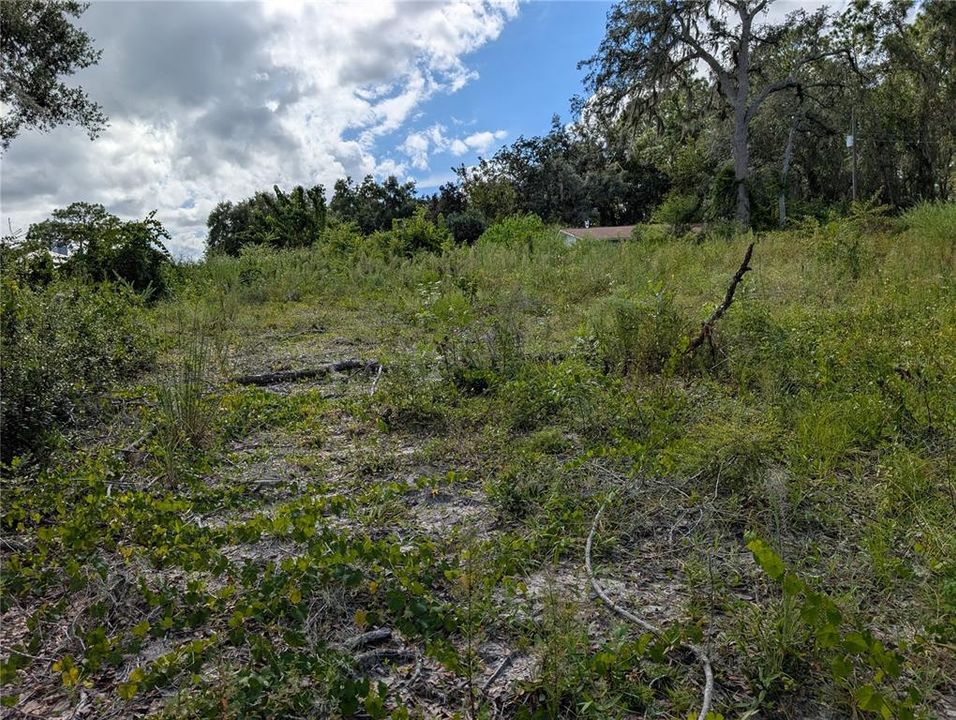 For Sale: $55,000 (0.49 acres)