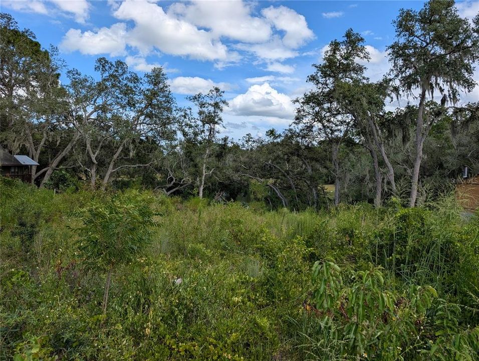 For Sale: $55,000 (0.49 acres)