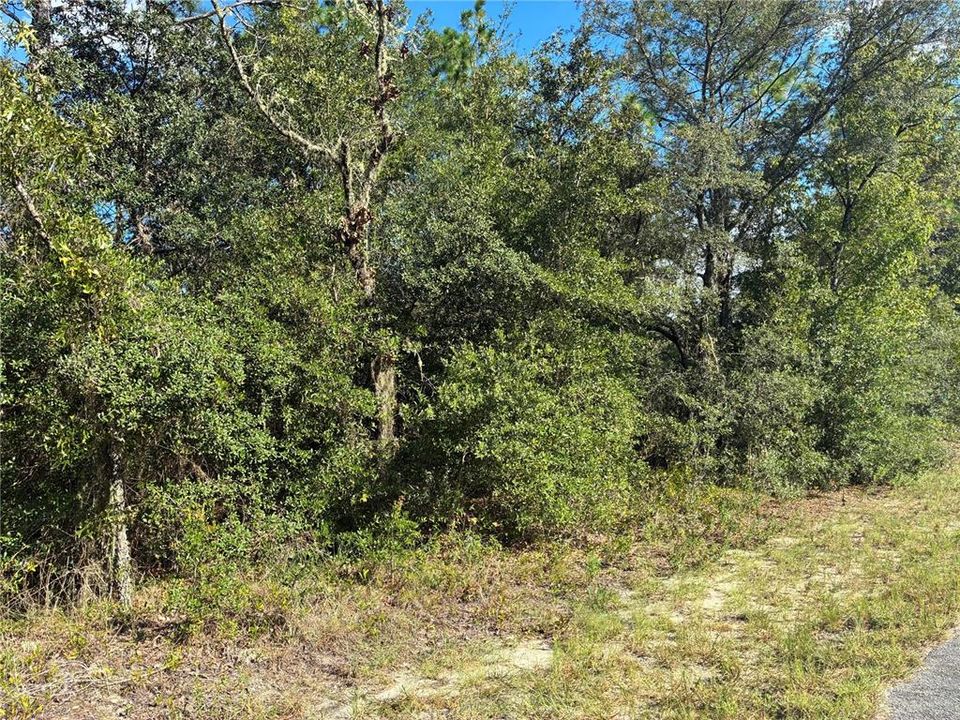 For Sale: $11,000 (0.24 acres)