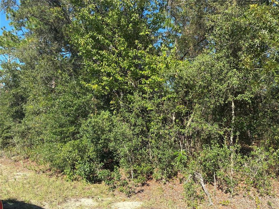 For Sale: $11,000 (0.24 acres)