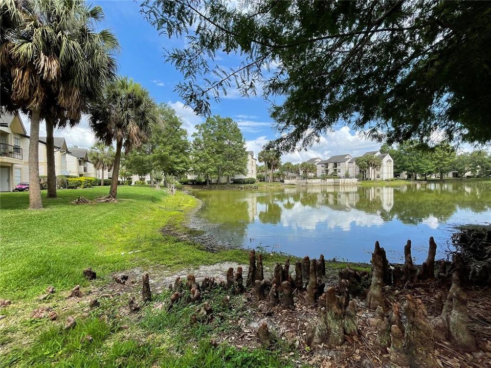Active With Contract: $1,285 (2 beds, 2 baths, 864 Square Feet)