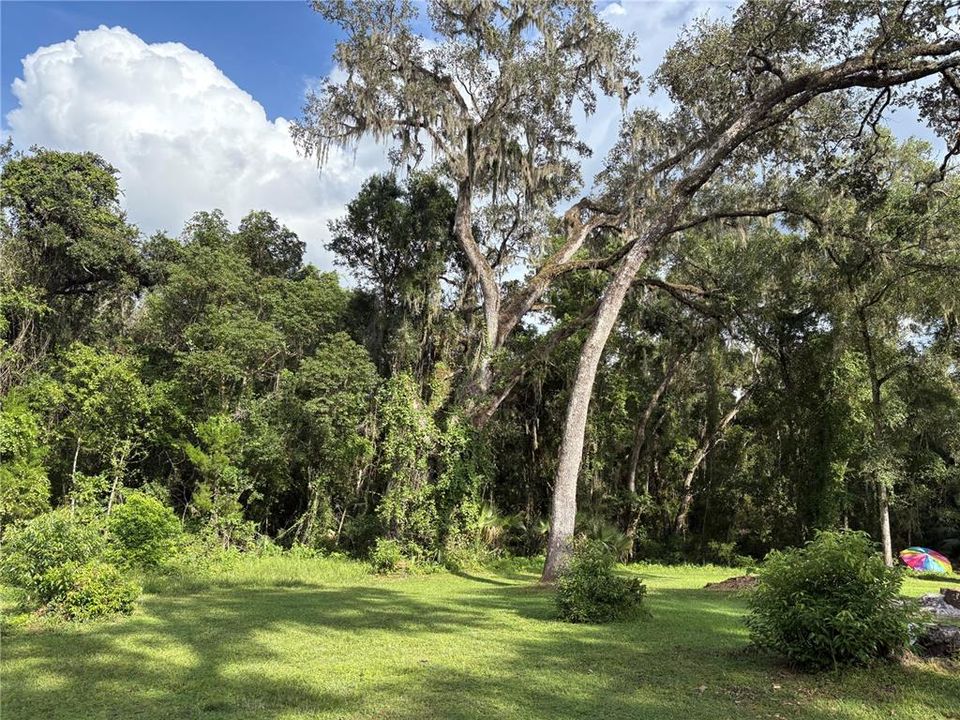 На продажу: $380,000 (9.00 acres)