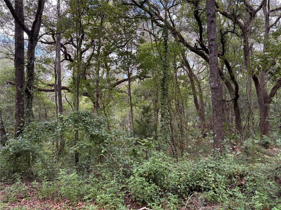 На продажу: $380,000 (9.00 acres)