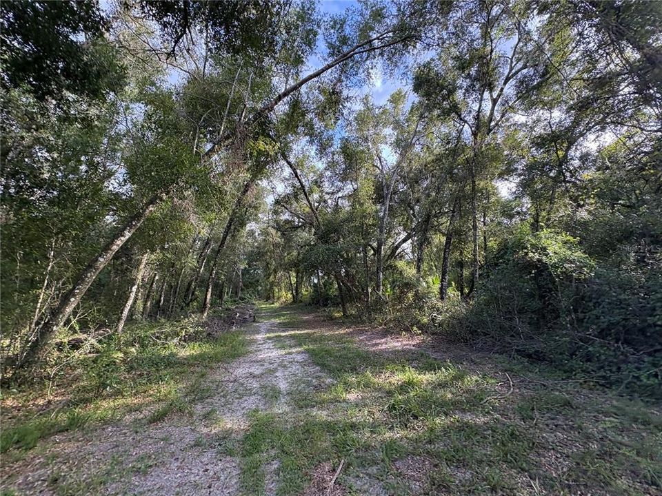 На продажу: $380,000 (9.00 acres)