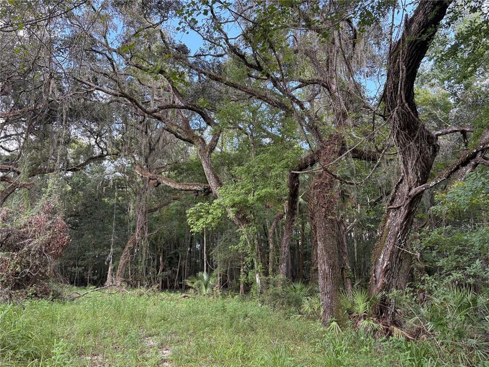 На продажу: $380,000 (9.00 acres)