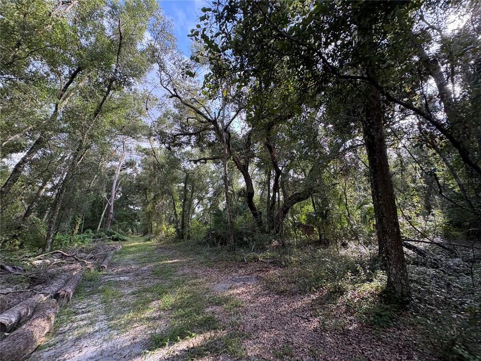 На продажу: $380,000 (9.00 acres)