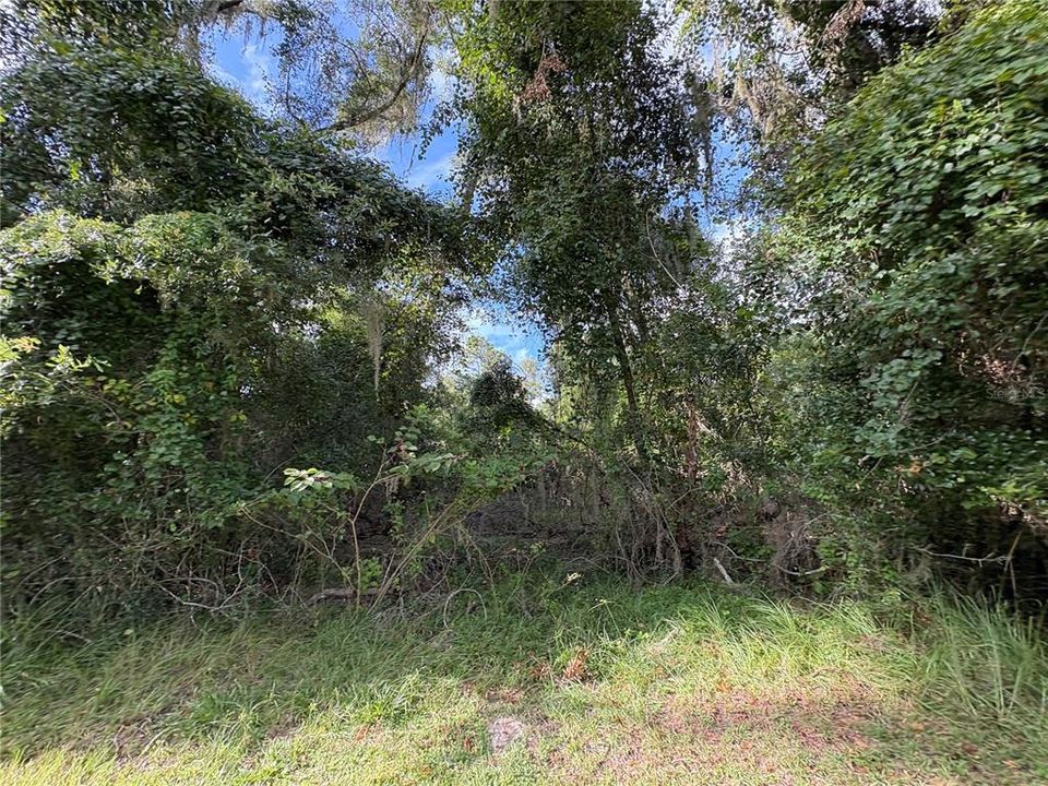 На продажу: $380,000 (9.00 acres)