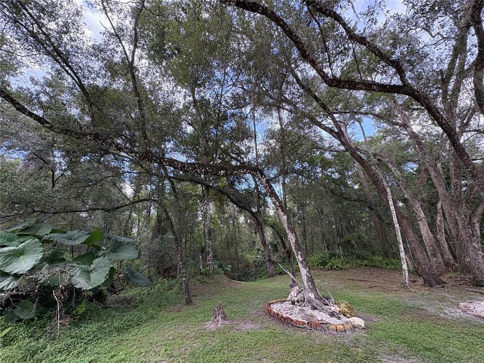 На продажу: $380,000 (9.00 acres)