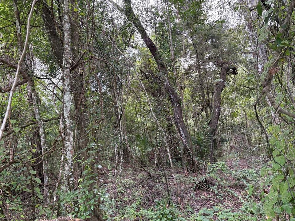 На продажу: $380,000 (9.00 acres)