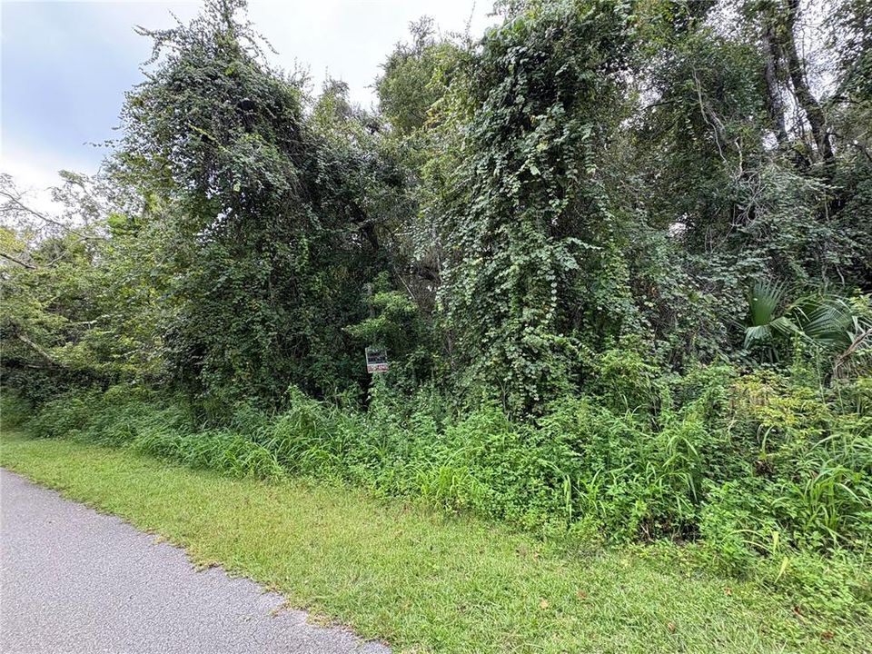 На продажу: $380,000 (9.00 acres)