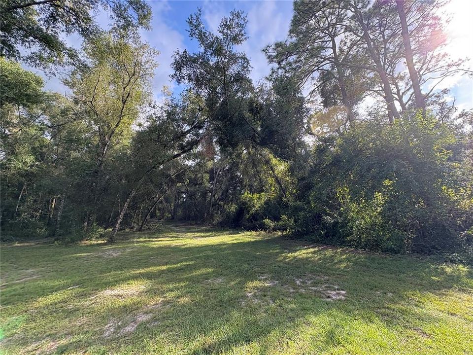 На продажу: $380,000 (9.00 acres)