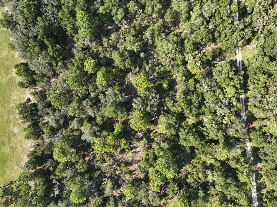 На продажу: $50,000 (2.00 acres)