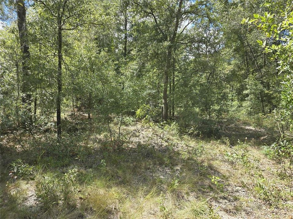 На продажу: $50,000 (2.00 acres)