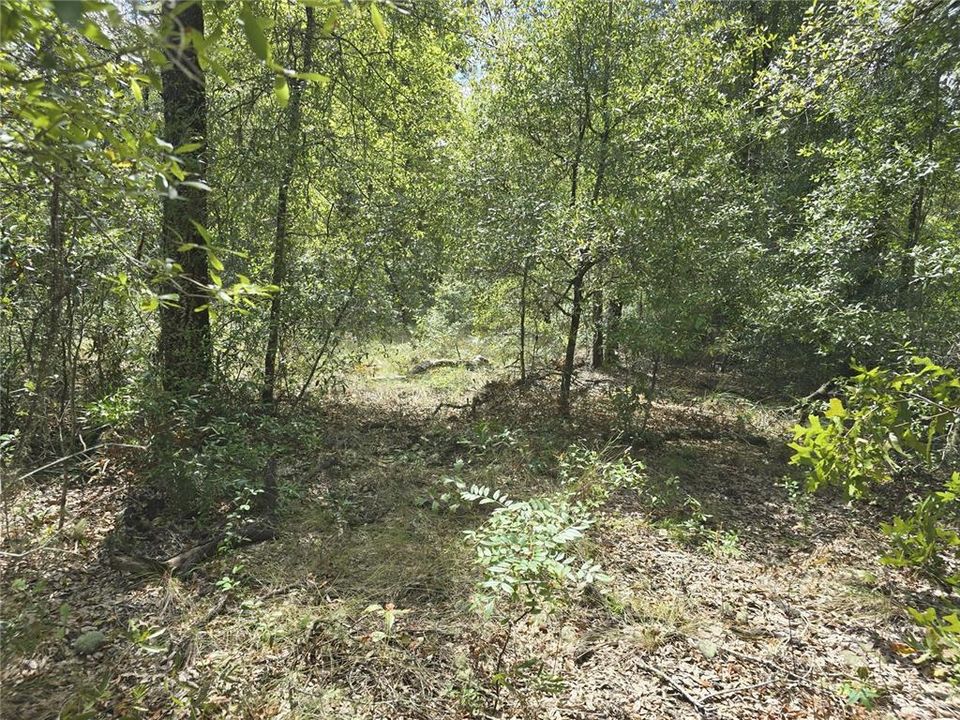 На продажу: $50,000 (2.00 acres)