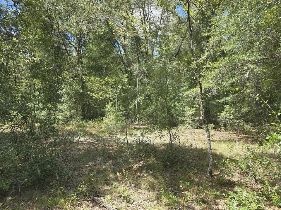 На продажу: $50,000 (2.00 acres)