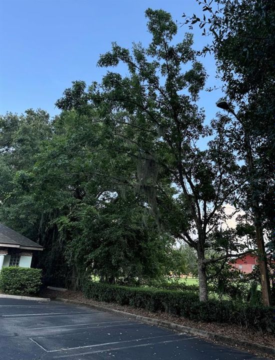 На продажу: $900,000 (0 спален, 0 ванн, 4138 Квадратных фут)