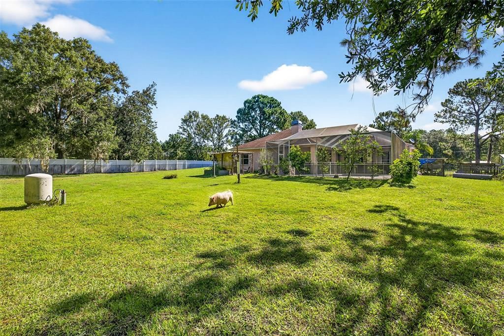 Active With Contract: $689,000 (4 beds, 3 baths, 3244 Square Feet)