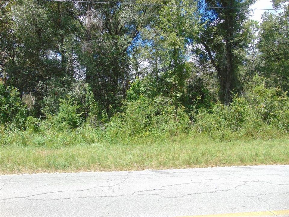 For Sale: $32,500 (0.51 acres)