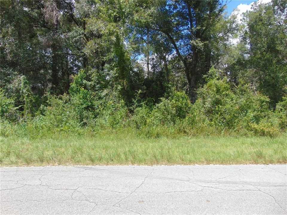 For Sale: $32,500 (0.51 acres)