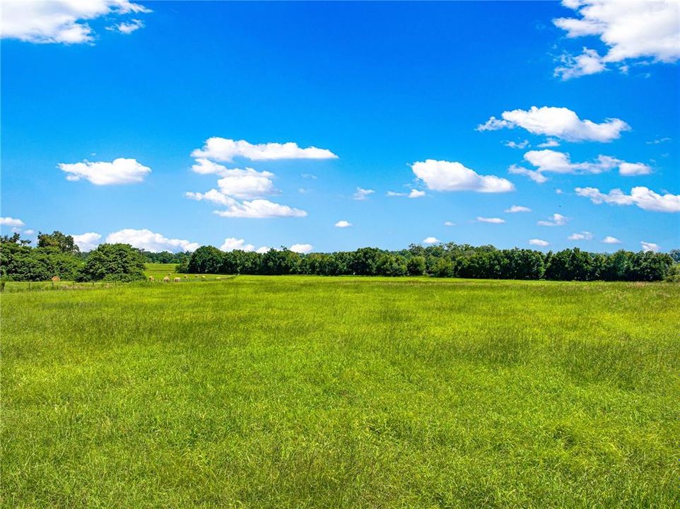 待售: $301,000 (10.02 acres)